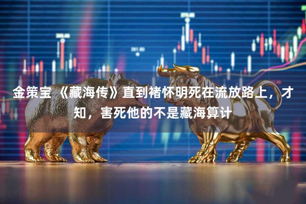 金策宝 《藏海传》直到褚怀明死在流放路上，才知，害死他的不是藏海算计