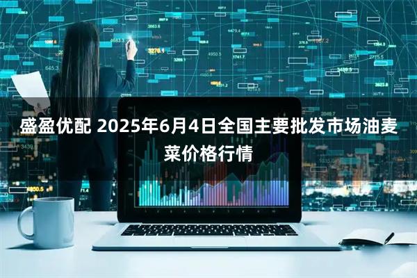 盛盈优配 2025年6月4日全国主要批发市场油麦菜价格行情