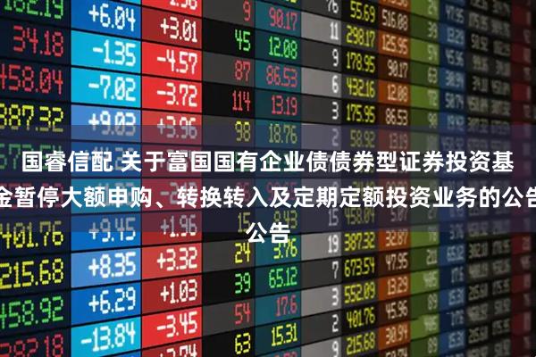 国睿信配 关于富国国有企业债债券型证券投资基金暂停大额申购、转换转入及定期定额投资业务的公告