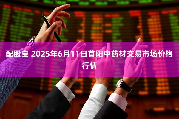 配股宝 2025年6月11日首阳中药材交易市场价格行情