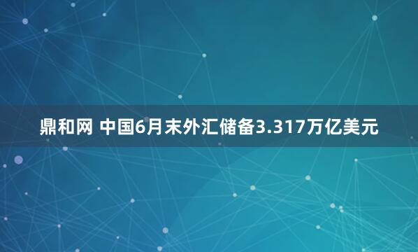 鼎和网 中国6月末外汇储备3.317万亿美元