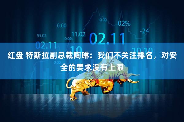 红盘 特斯拉副总裁陶琳：我们不关注排名，对安全的要求没有上限