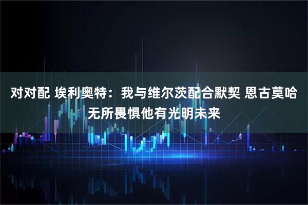 对对配 埃利奥特：我与维尔茨配合默契 恩古莫哈无所畏惧他有光明未来