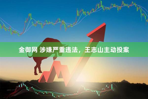 金御网 涉嫌严重违法，王志山主动投案