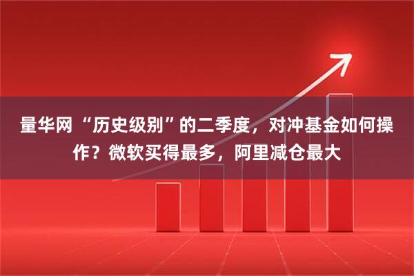 量华网 “历史级别”的二季度，对冲基金如何操作？微软买得最多，阿里减仓最大