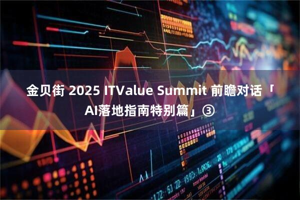 金贝街 2025 ITValue Summit 前瞻对话「AI落地指南特别篇」③