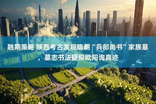 融期策略 陕西考古发现隋朝“兵部尚书”家族墓，墓志书法疑似欧阳询真迹