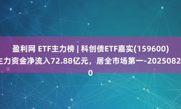 盈利网 ETF主力榜 | 科创债ETF嘉实(159600)主力资金净流入72.88亿元，居全市场第一-20250820