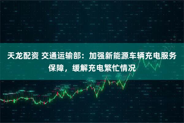 天龙配资 交通运输部：加强新能源车辆充电服务保障，缓解充电繁忙情况